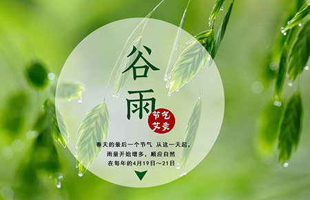 节气灸——谷雨艾灸 健脾利湿喜迎夏