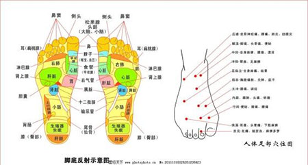 人体四根之首，艾灸脚跟才是健康的根本！