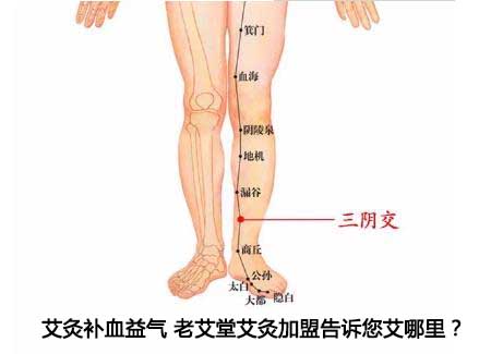 艾灸补血益气 老艾堂艾灸加盟告诉您艾哪里？