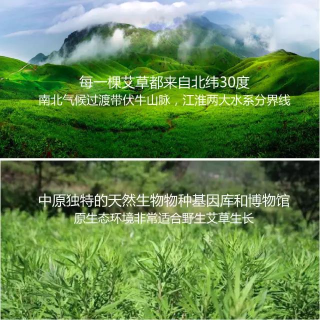 为行业正言 为顾客谋福 | 老艾堂用心做好艾